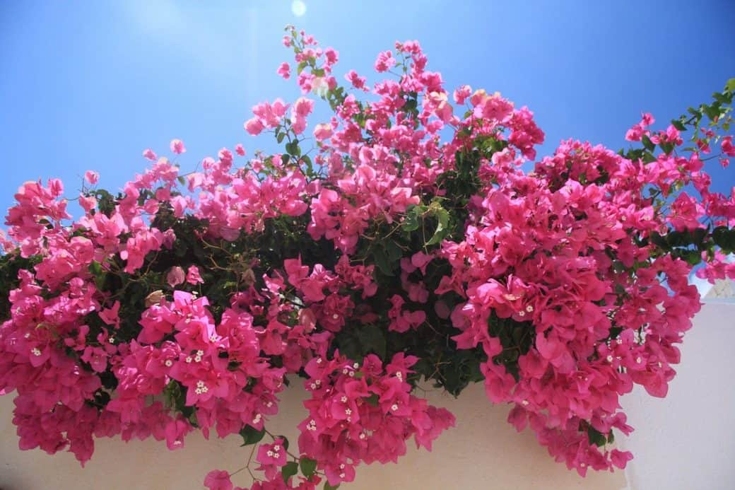 When is the best time to visit Greece?