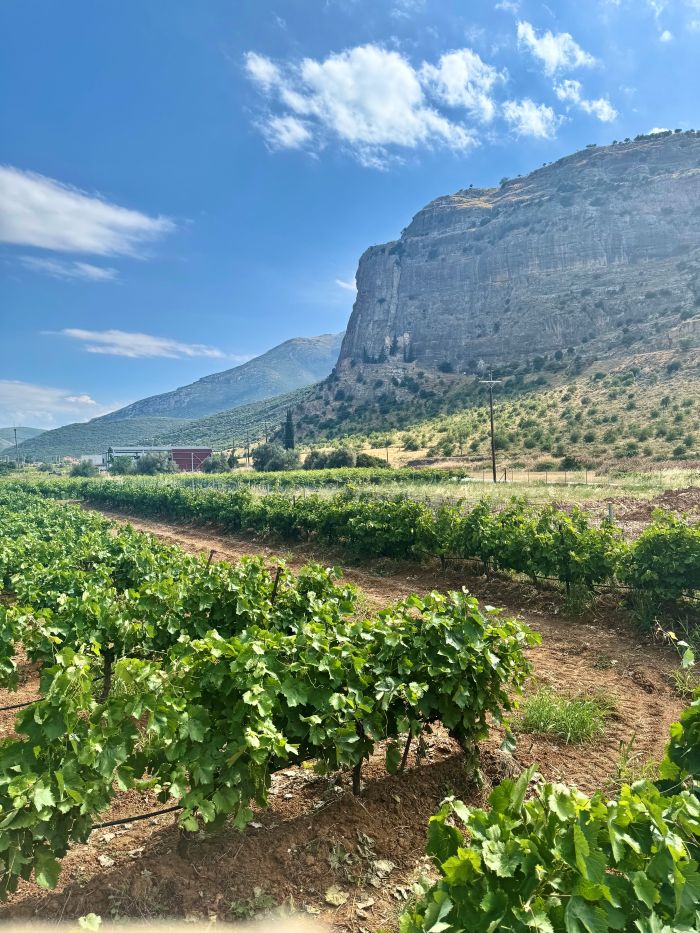 winery